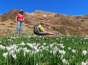 29 Triomen in alto, Dueomen tra i crocus in basso